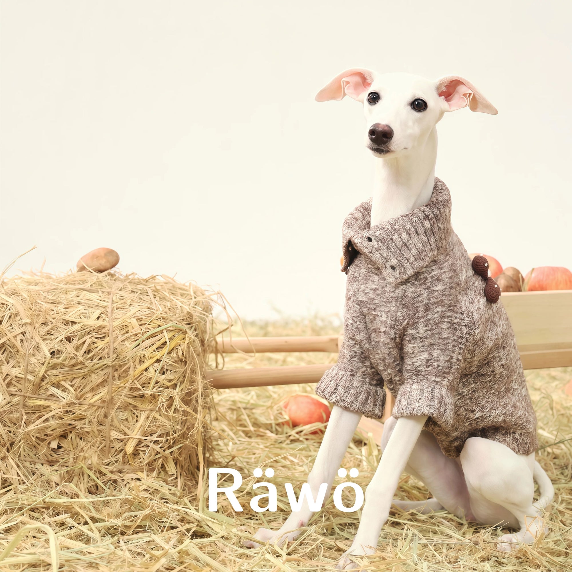 Little Mushroom Hand-Knit Sweater