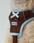 Chelsea Everyday Sporty H-shape Harness--Brown&Blue