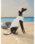 Seashell Breeze Cap