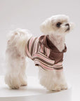 Stripe Contrast Embroidered Hoodie