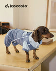 Monsoon Veil Outdoor Raincoat