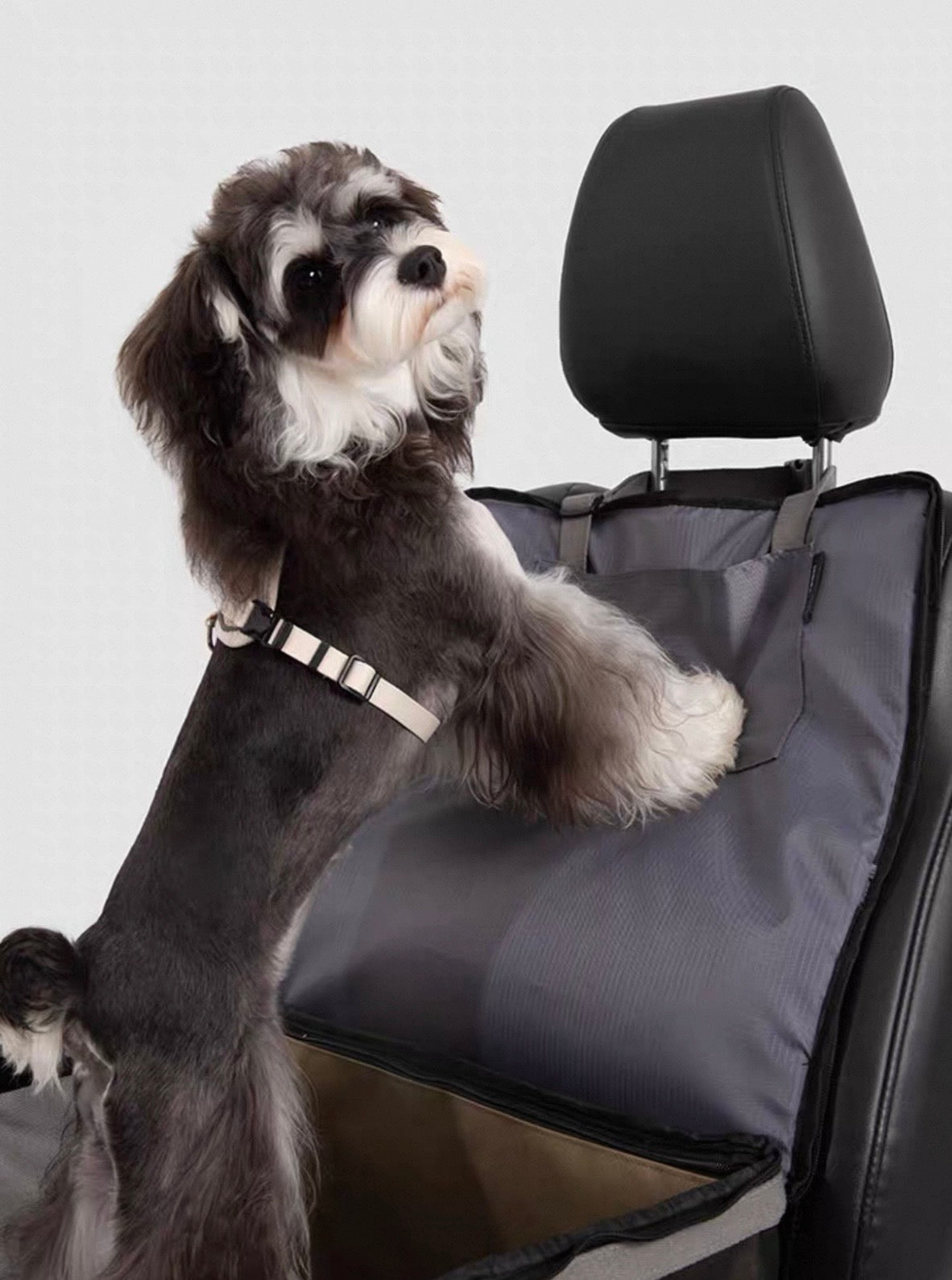 Roadtrip Companion Carrier