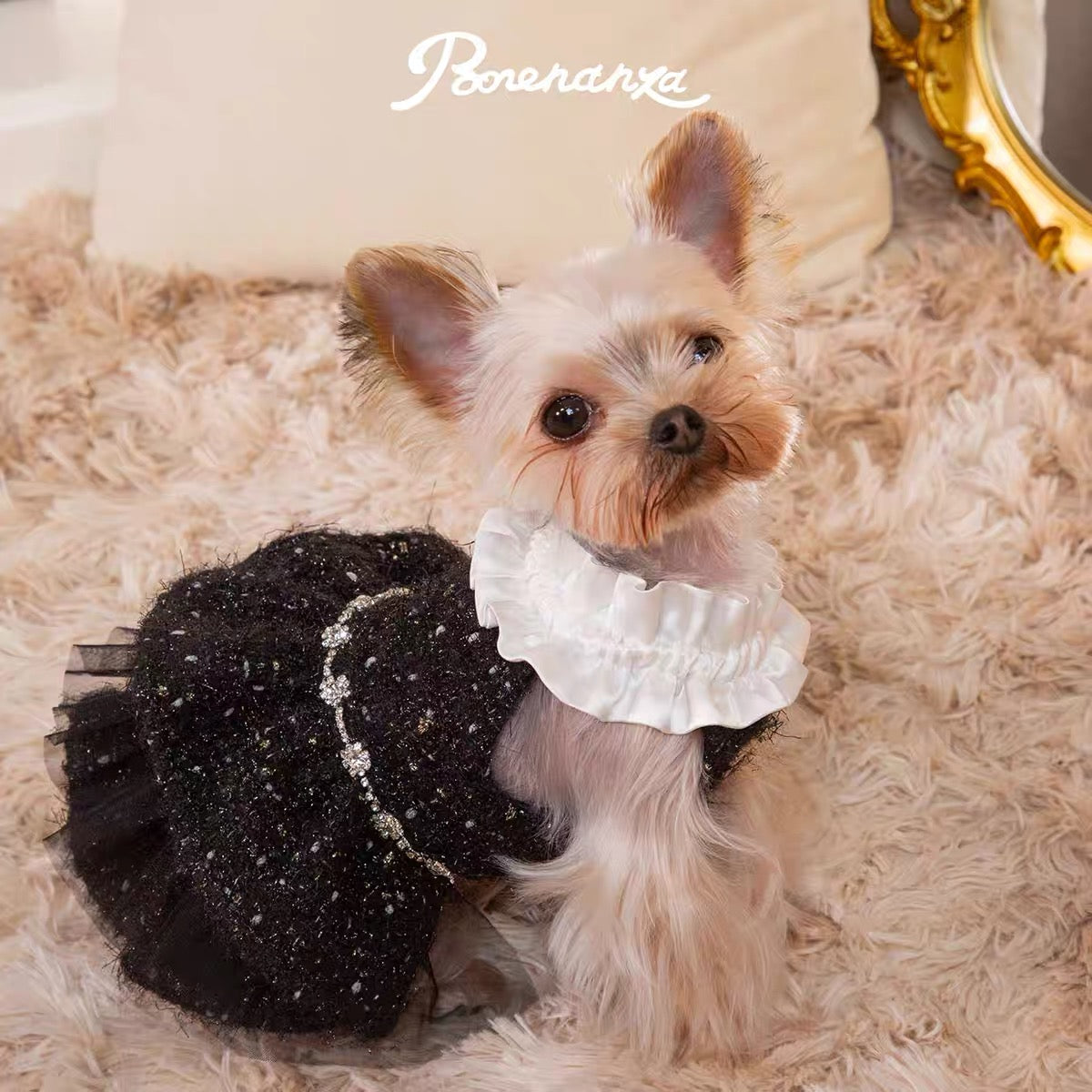 Black Woolen Skirt Dress
