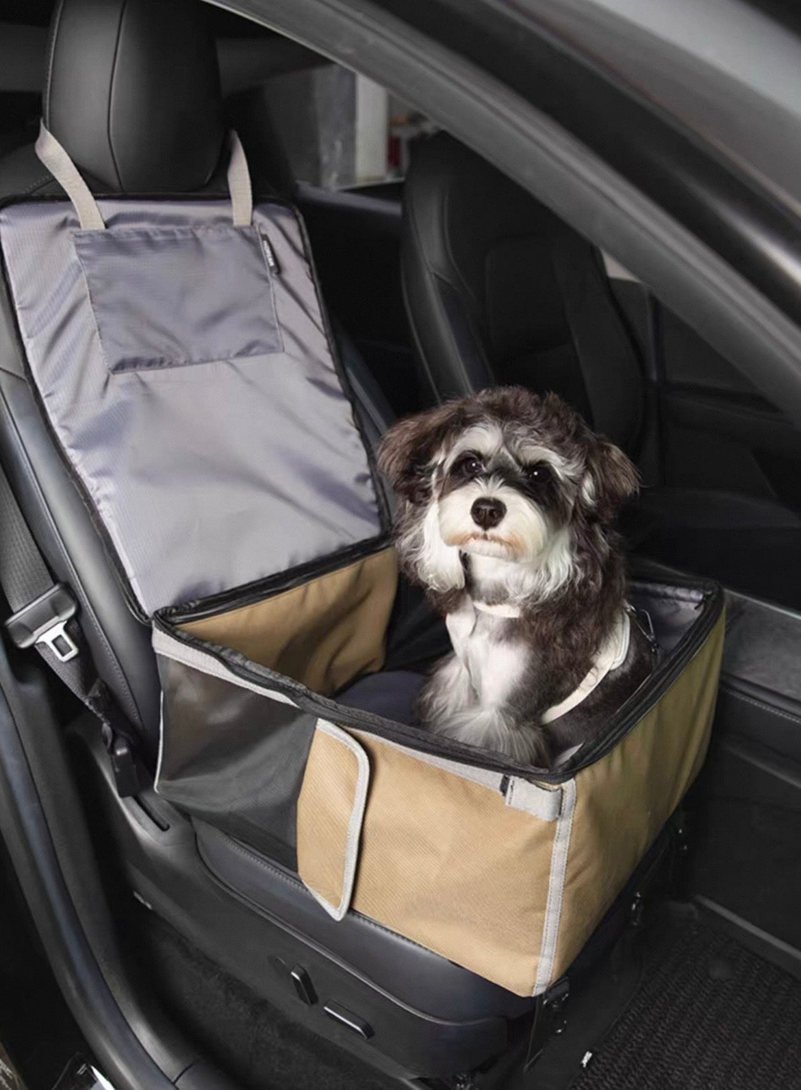 Roadtrip Companion Carrier