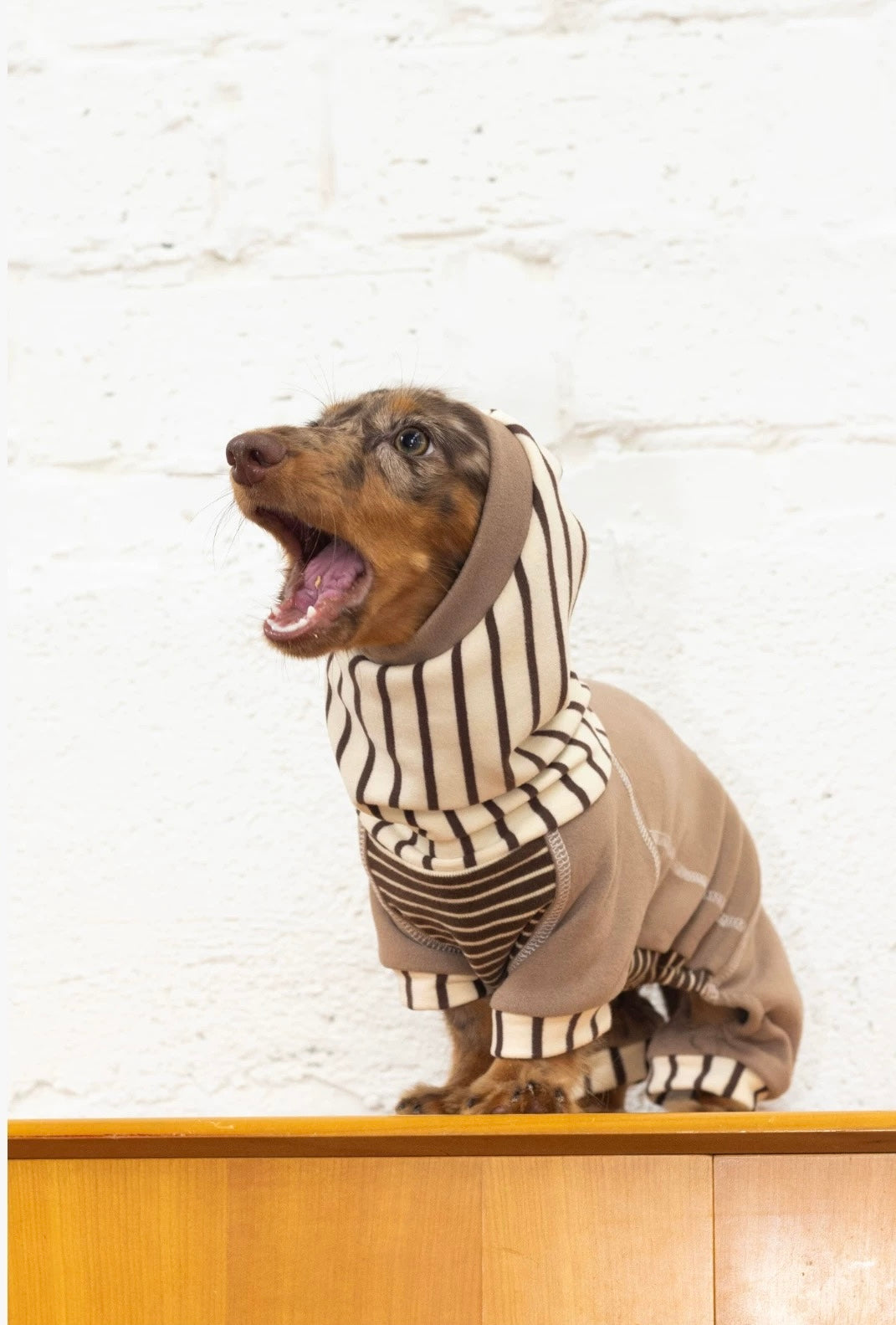 Caramel Stripe Four-Legged Hoodie