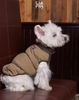 TeddyHood Winter Coat