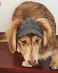 Windsor Reversible Plaid Dog Cap