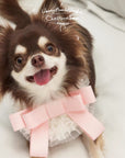 Bow Bib Bandanas