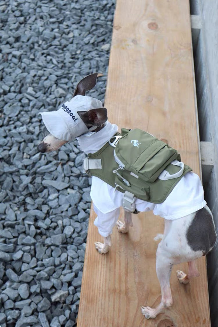 Little Ranger Backpack Harness