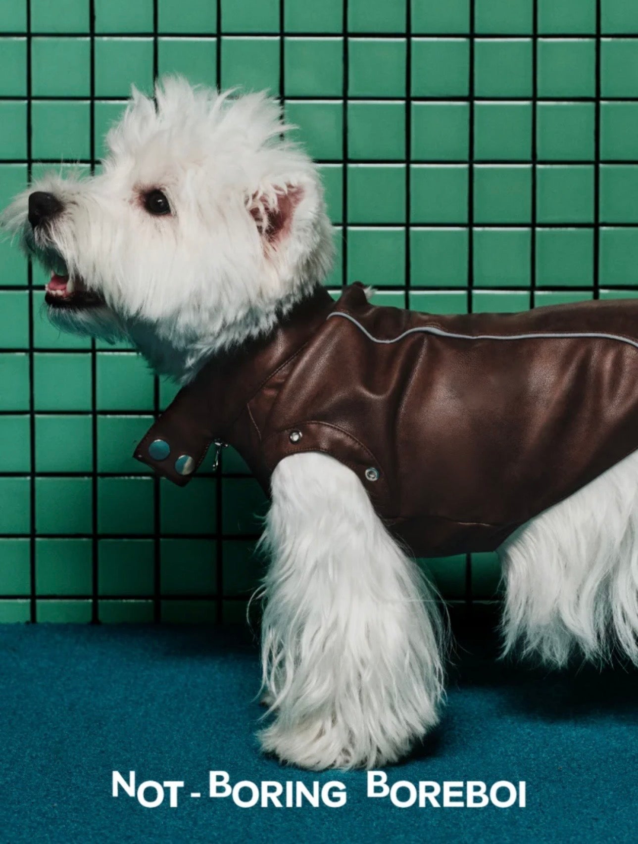 Caramel Macchiato Vest