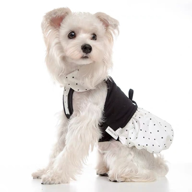 Mademoiselle Polka Dress