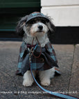 Sherlock Warm Plaid Jacket --Blue/Grey