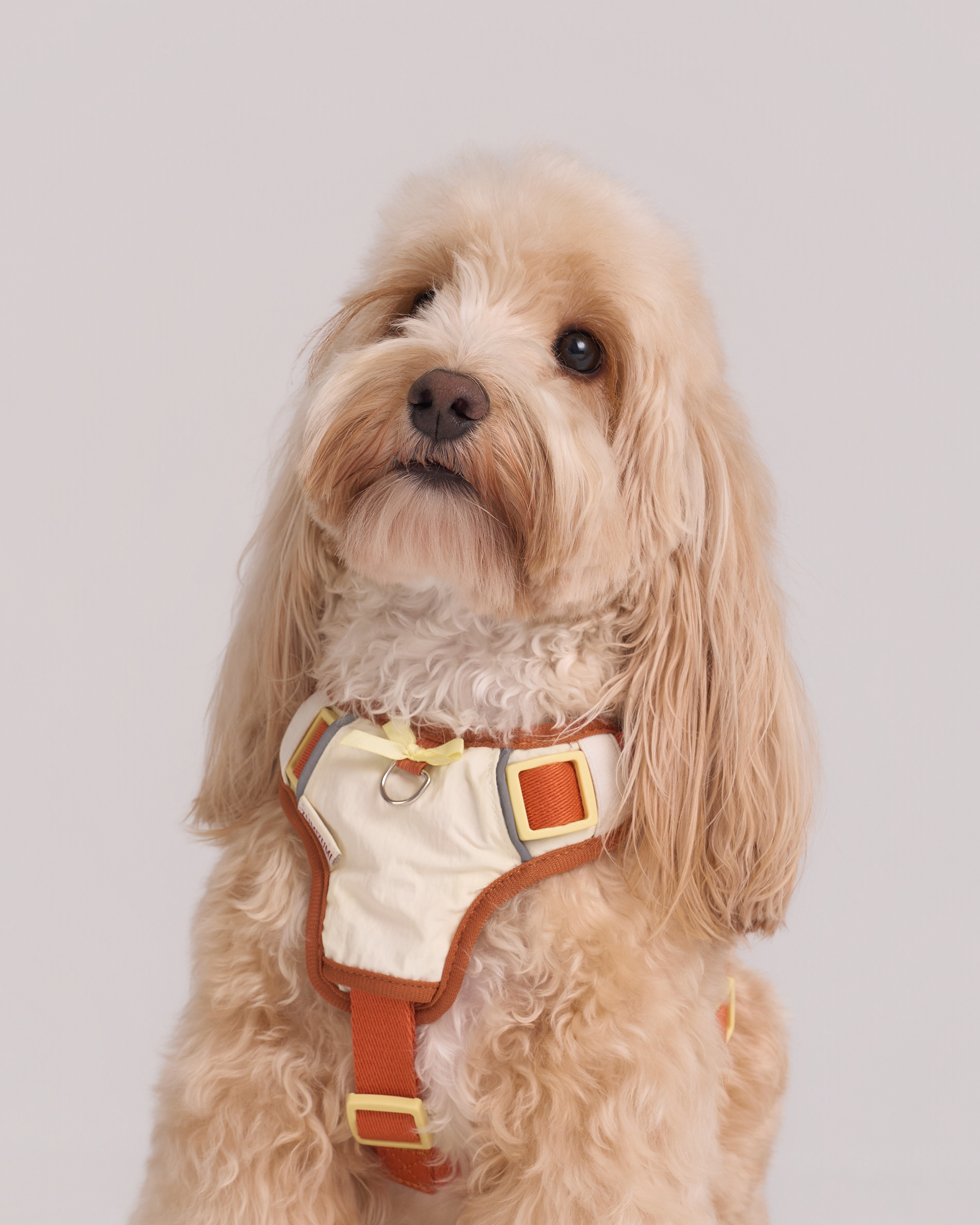 Adjustable No-Pull Dog Harness