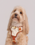 Adjustable No-Pull Dog Harness