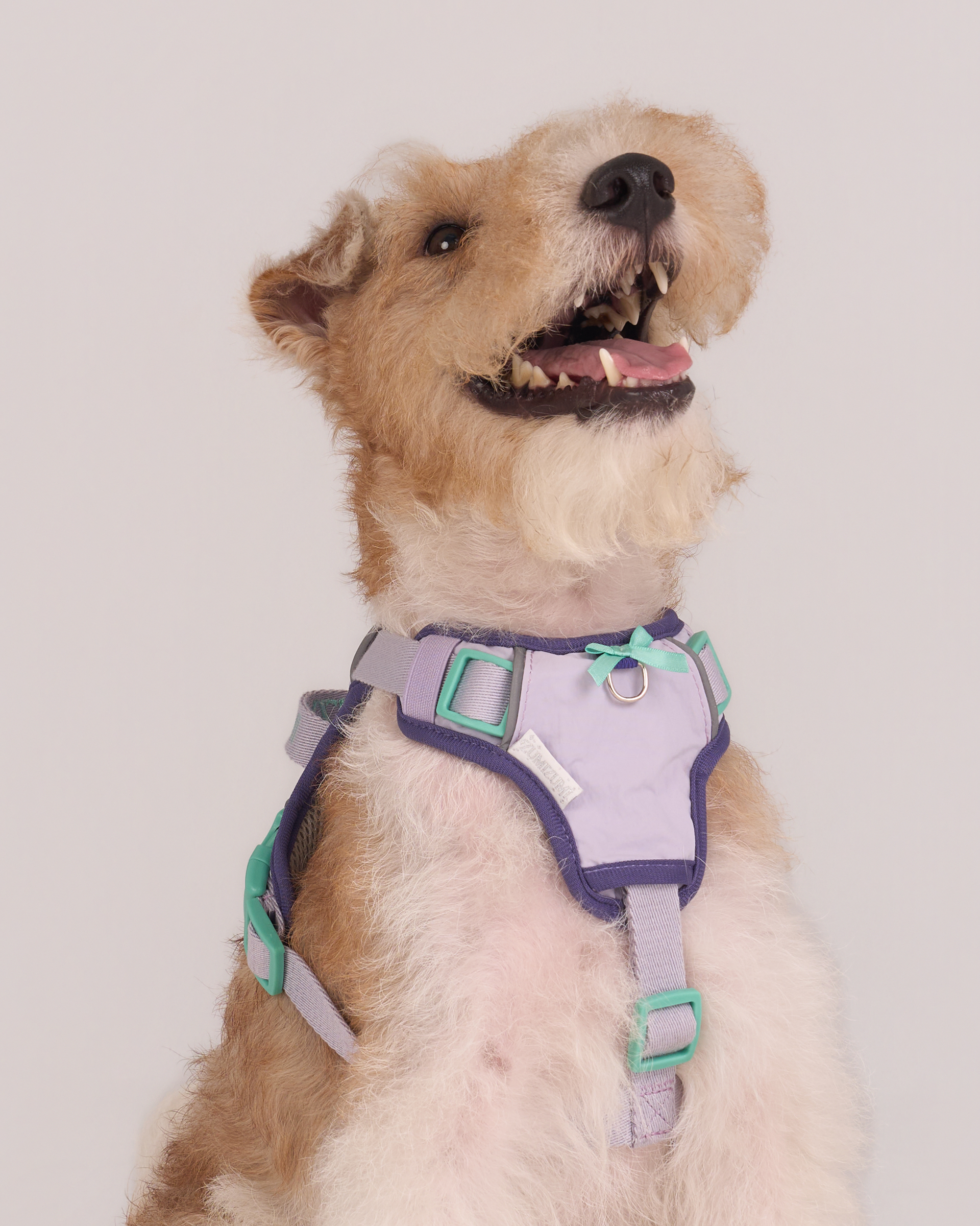 Adjustable No-Pull Dog Harness