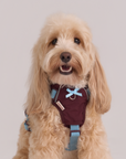 Adjustable No-Pull Dog Harness