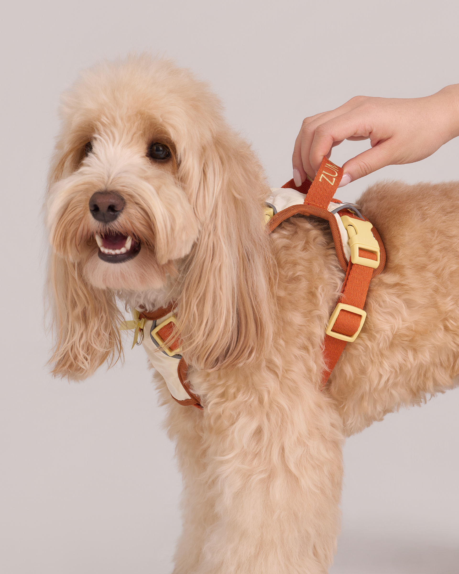 Adjustable No-Pull Dog Harness