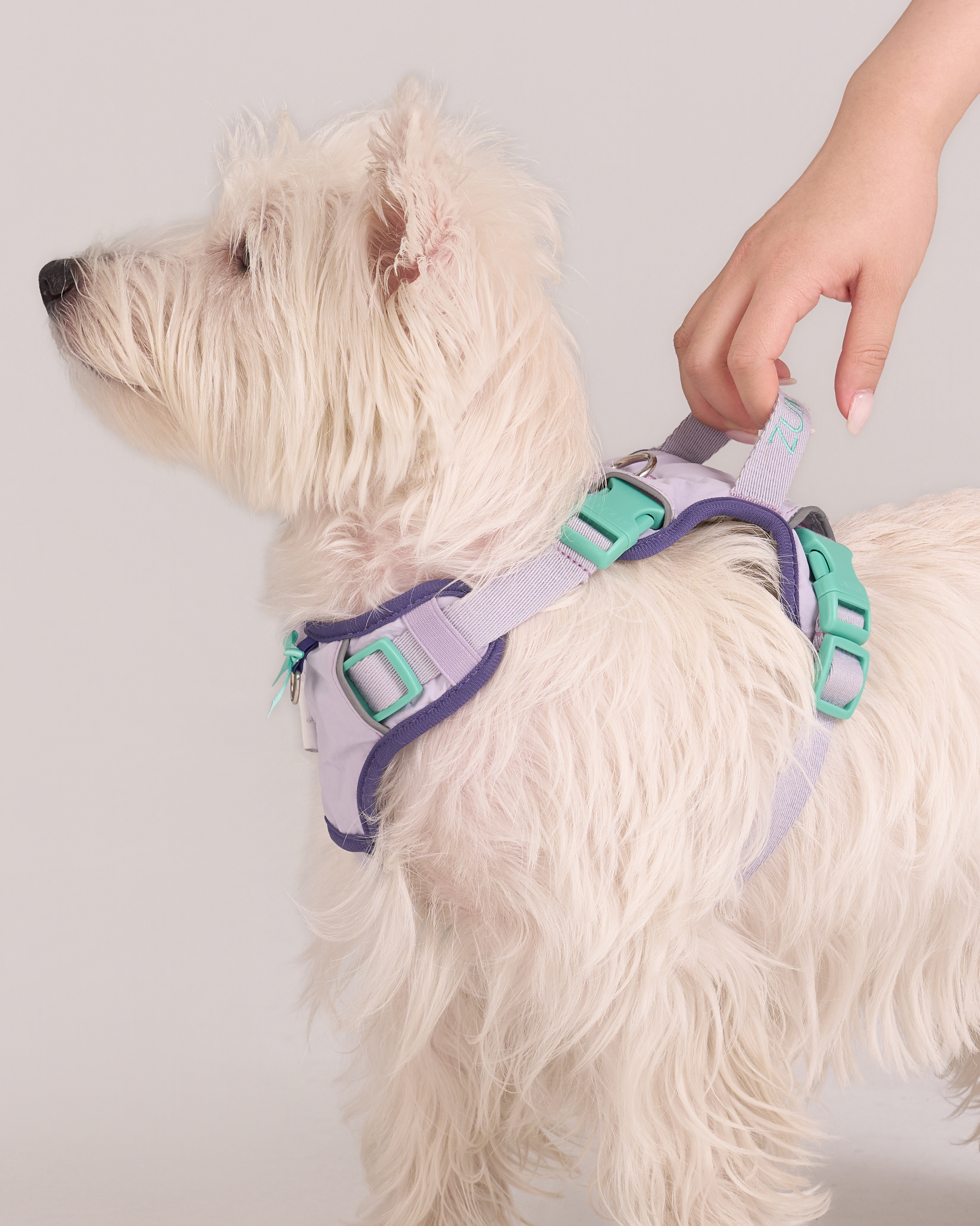 Adjustable No-Pull Dog Harness