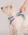 Adjustable No-Pull Dog Harness