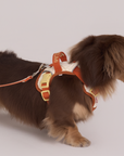 Adjustable No-Pull Dog Harness