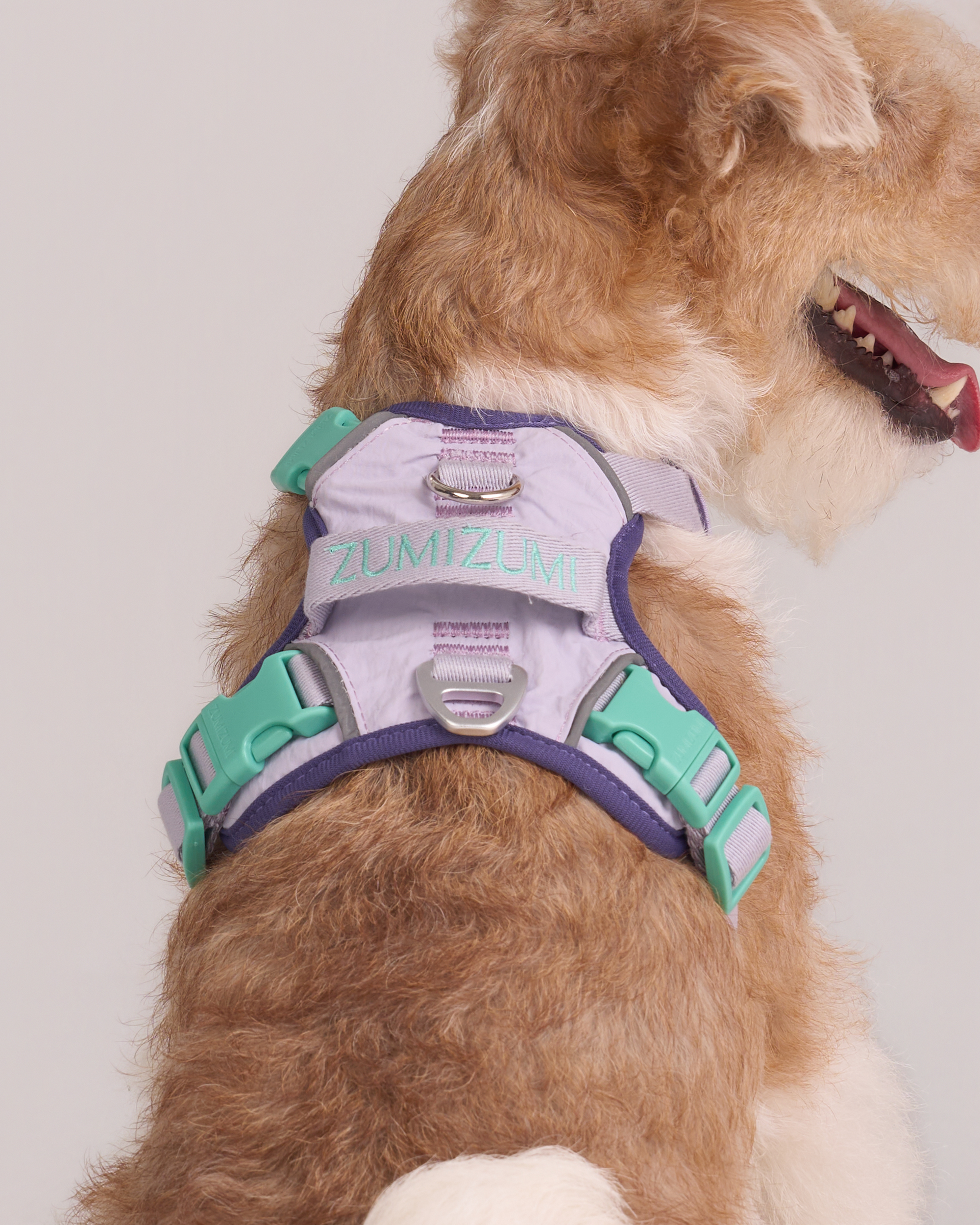 Adjustable No-Pull Dog Harness