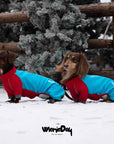 Alpine Après-Ski Jumpsuit