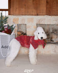 All I Want Is THIS Christmas Pup Sweater (FOR PETS) PRE-ORDER