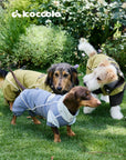 Monsoon Veil Outdoor Raincoat