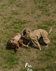Mountain Reversible Waterproof Raincoat