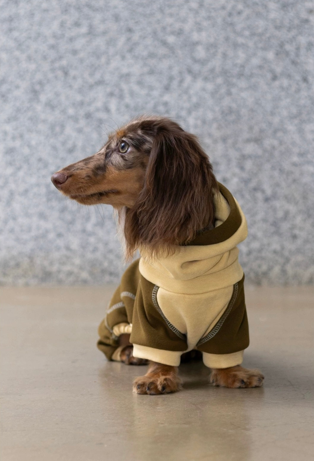 Ginger Chestnut Four-Legged