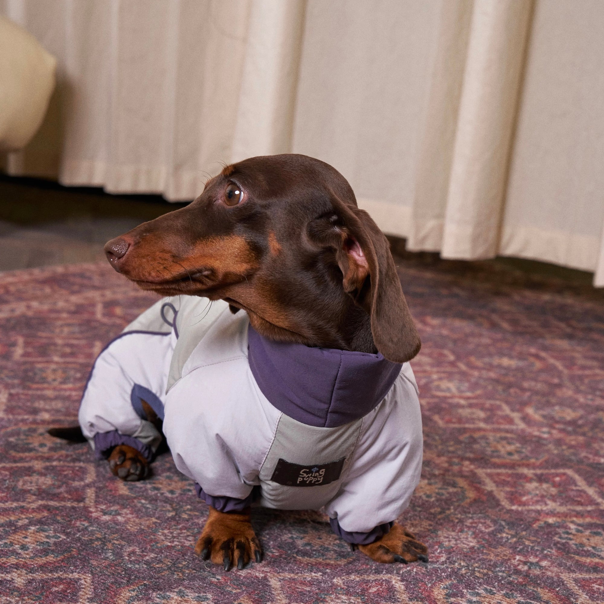 Adventure 90 Down Suit Set