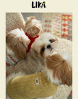 Winter Berry Cozy Knit Sweater