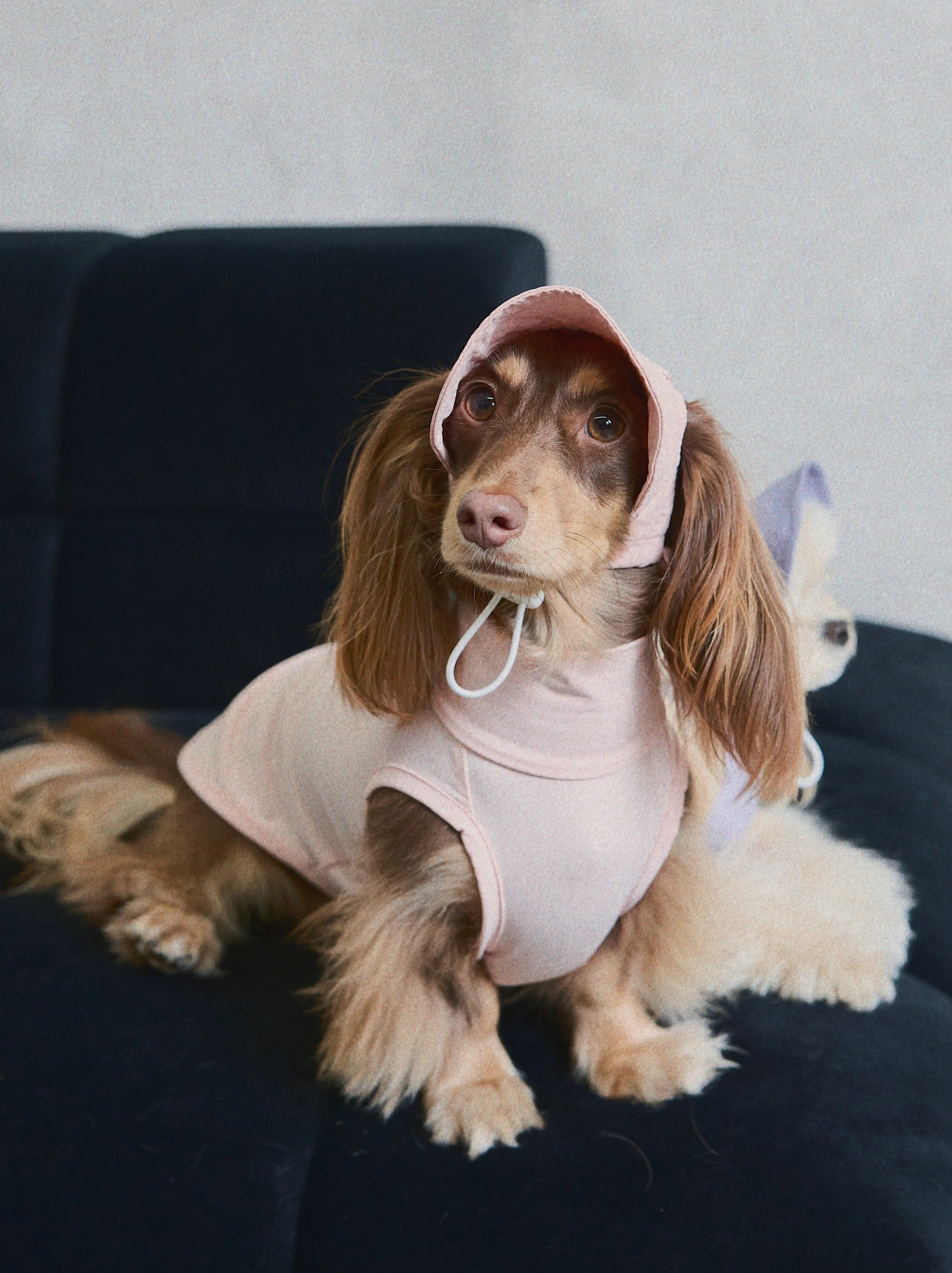 Cherry Blossom UPF100+ Dog Cooling Vest