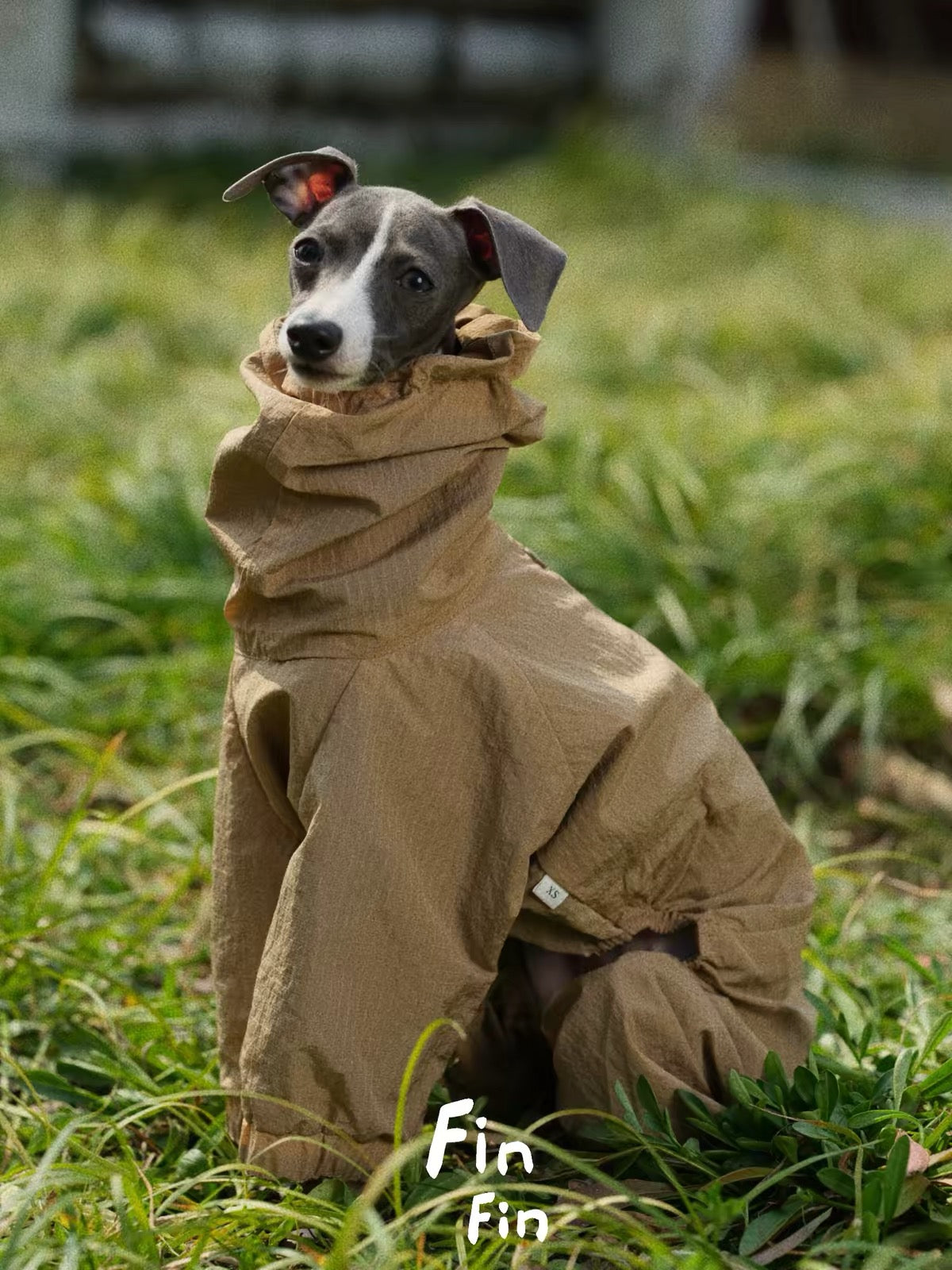Mountain Reversible Waterproof Raincoat