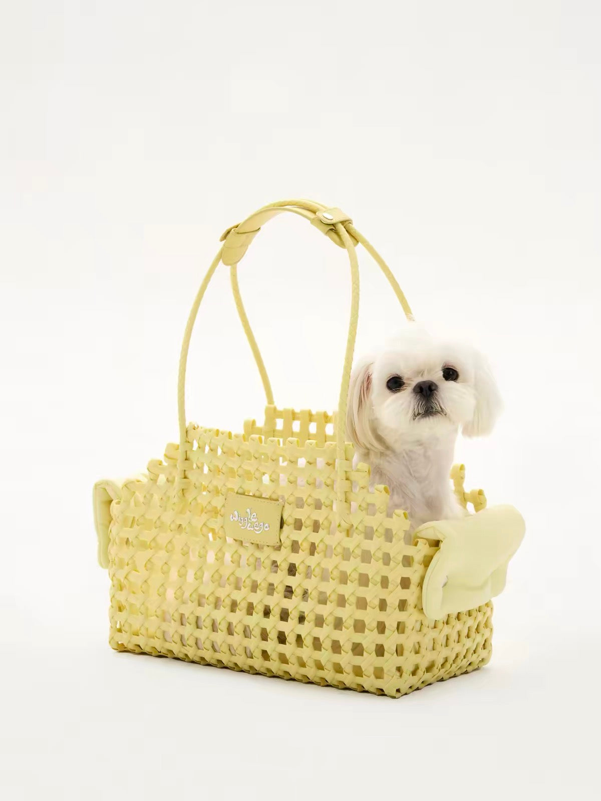 Capri Soleia Carrier