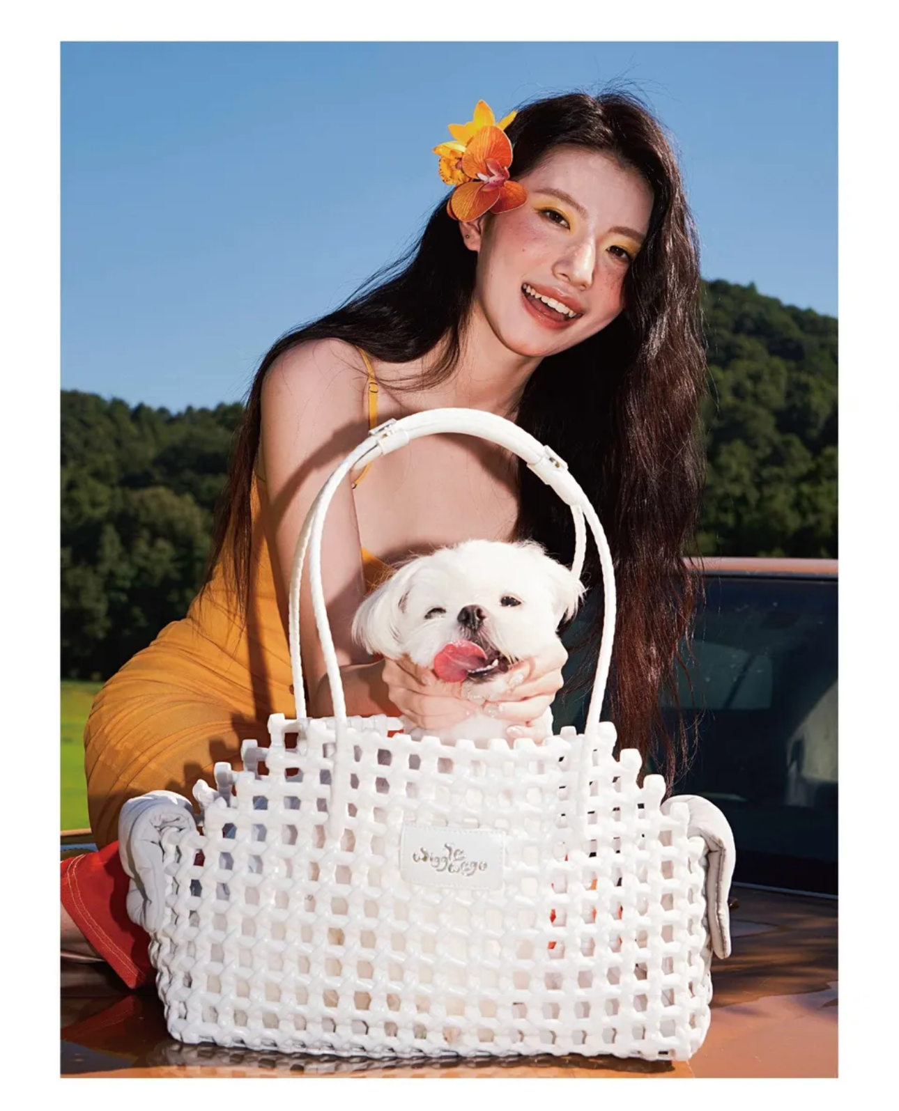Capri Soleia Carrier
