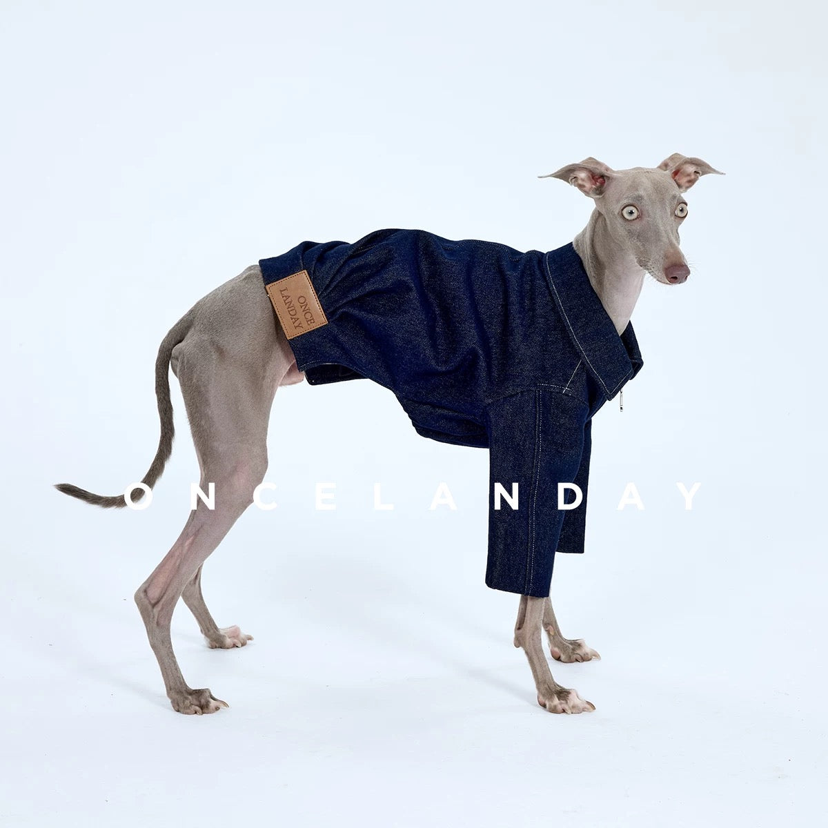 Vintage Suede Cozy Jacket