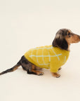 Plaid Contrasting Jacquard Two Leg Sweater