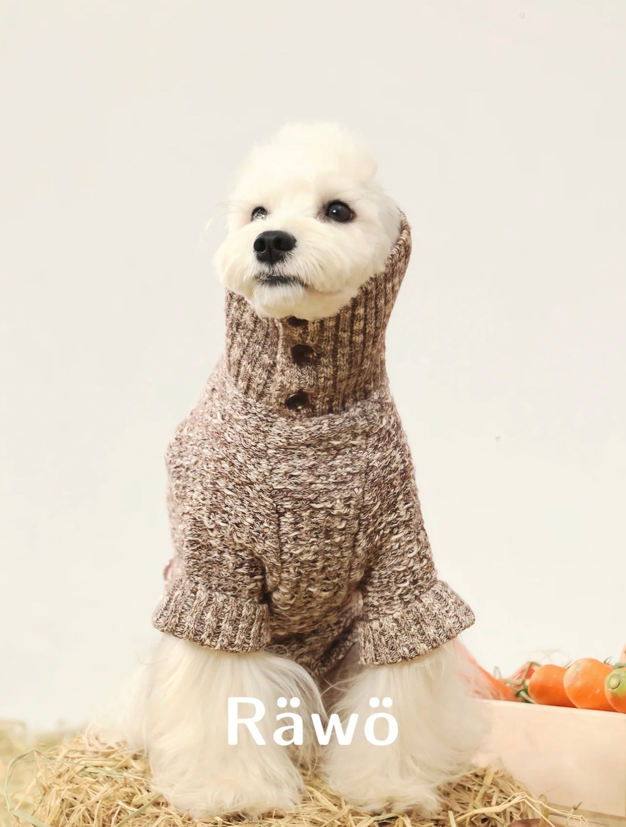 Little Mushroom Hand-Knit Sweater