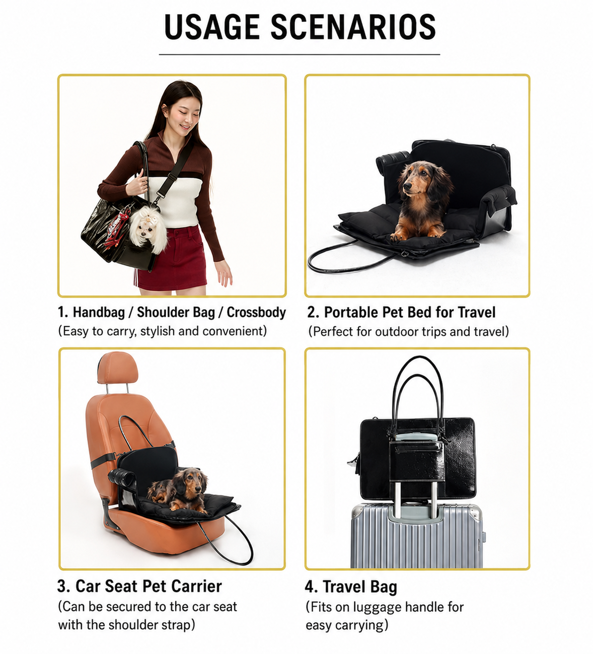 Lumiere Voyage Carrier