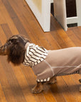 Caramel Stripe Four-Legged Hoodie