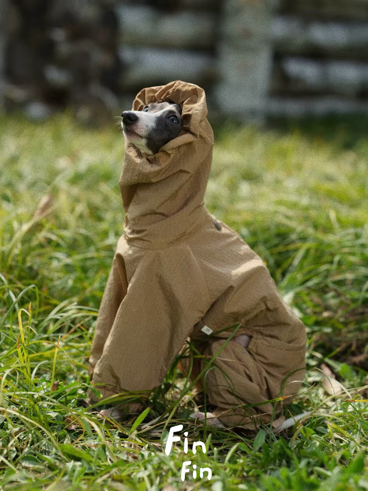 Mountain Reversible Waterproof Raincoat