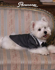Banquet Diamond Dandy Suit Set