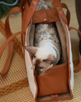 Dumpling Pet Carrier Bag
