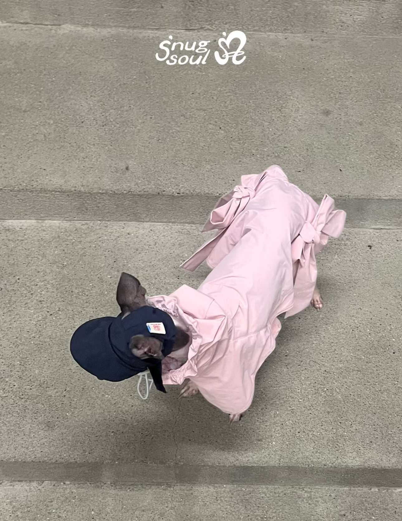 Ballerina Bow Raincoat