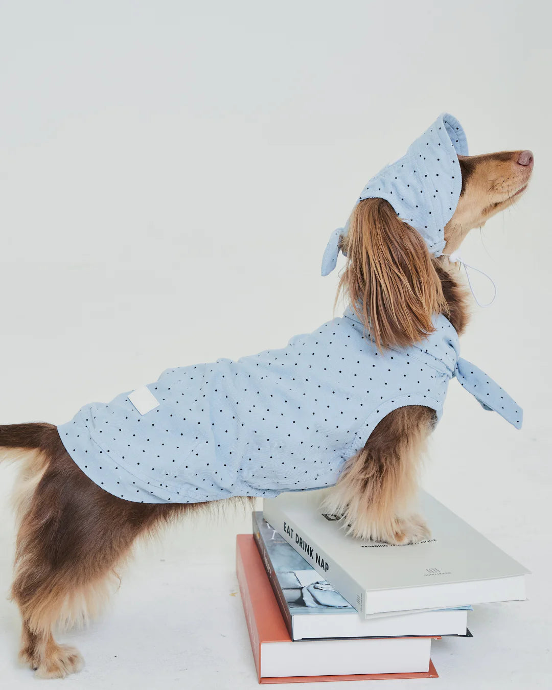Blue Polka Dot Shirt