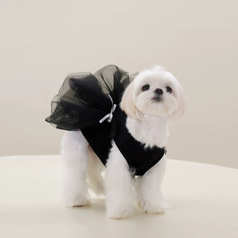 Puffy Tutu Skirt