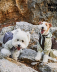 Wilderness Walk Raincoat