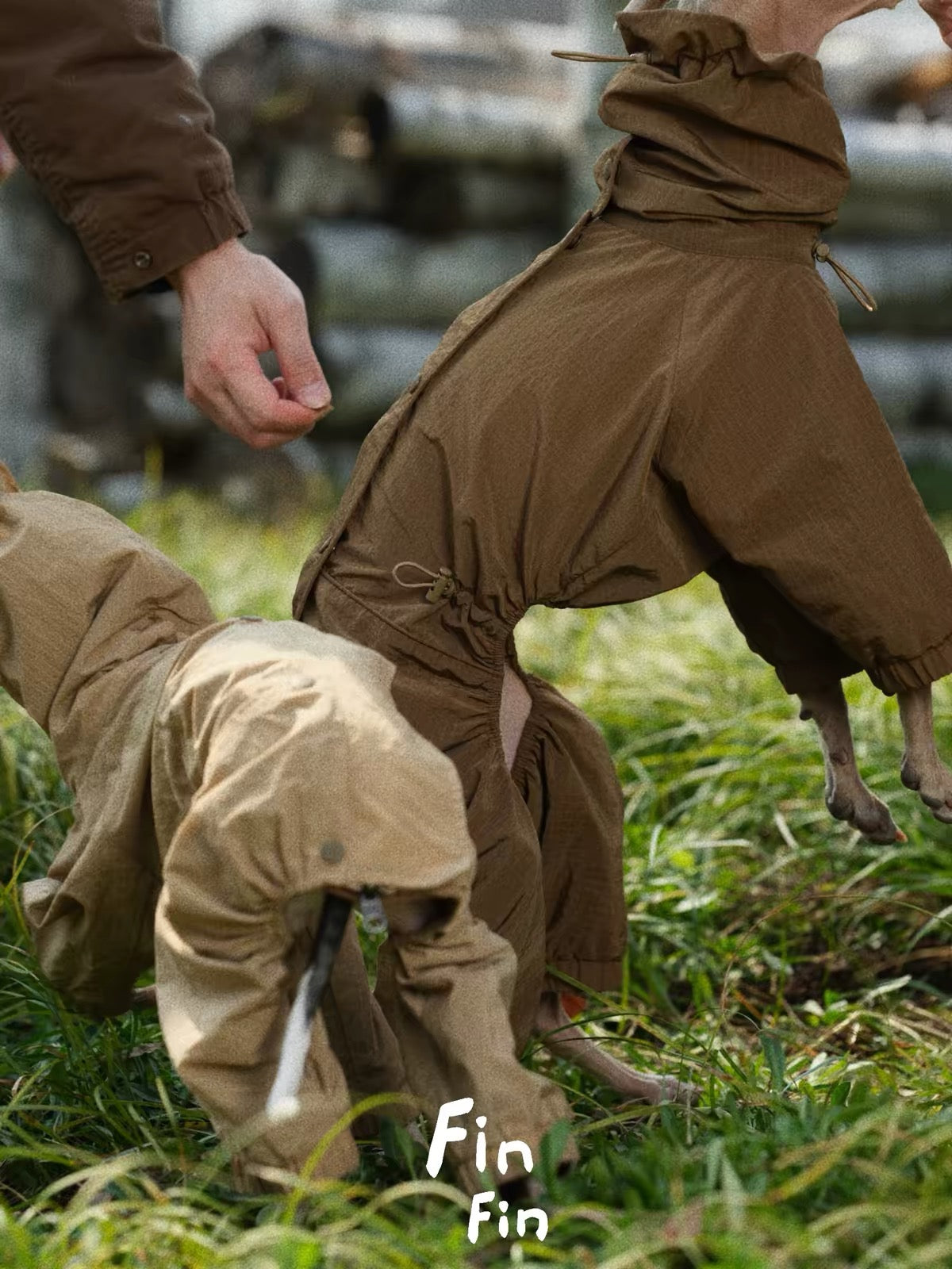 Mountain Reversible Waterproof Raincoat