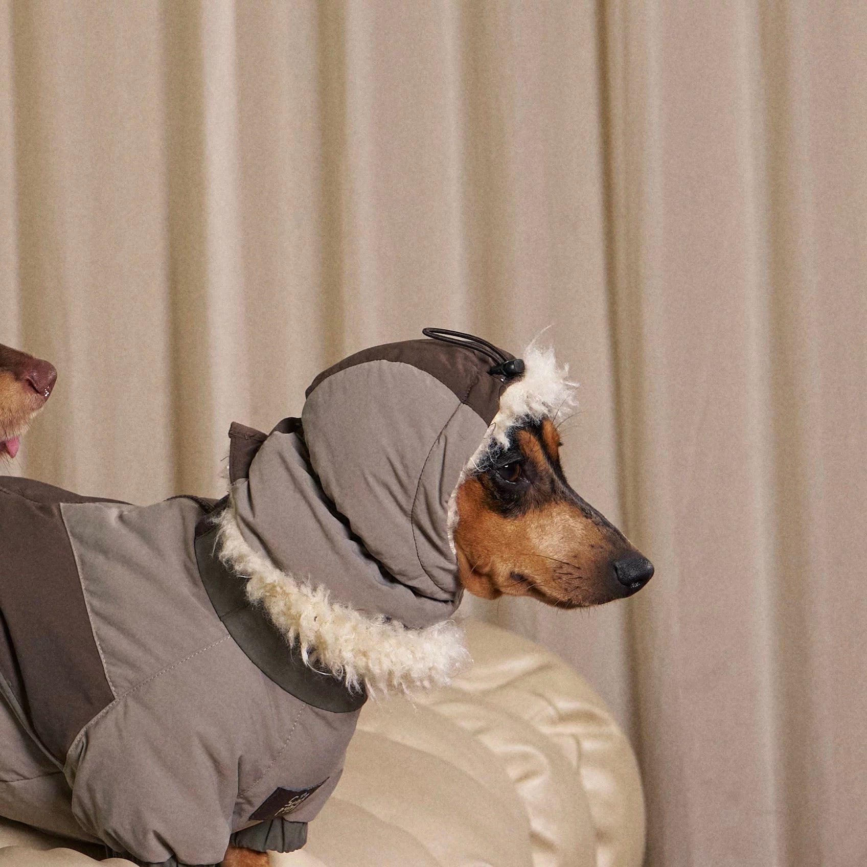 Adventure 90 Down Suit Set